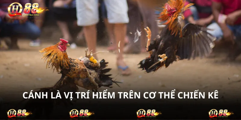 Tấn công vào cánh dễ dàng khiến đối thủ không thể trở mình kịp