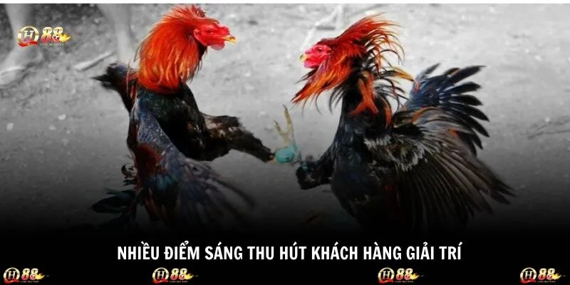 Nhiều điểm sáng thu hút khách hàng giải trí