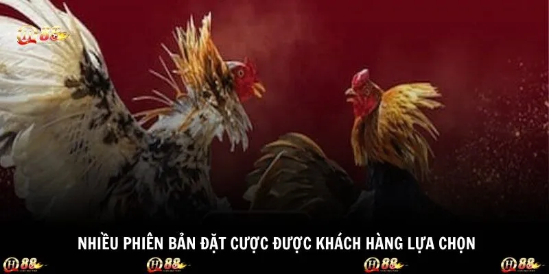 Nhiều phiên bản đặt cược được khách hàng lựa chọn