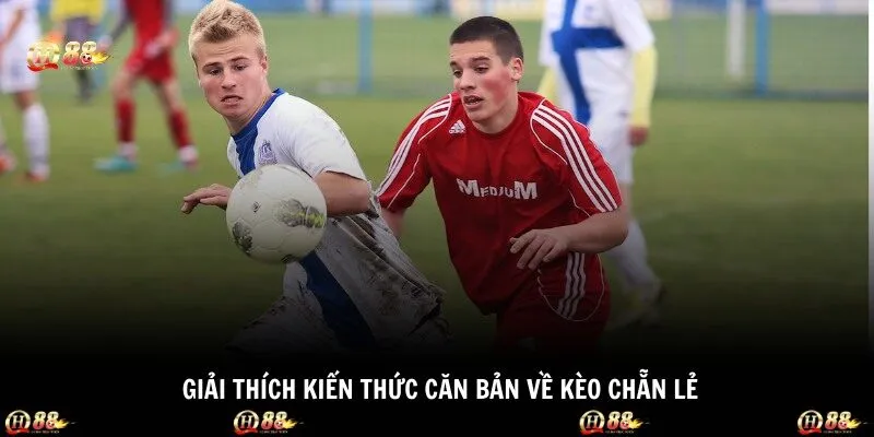 Giải thích kiến thức căn bản về kèo chẵn lẻ